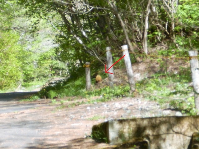 DSCN0306a.jpg